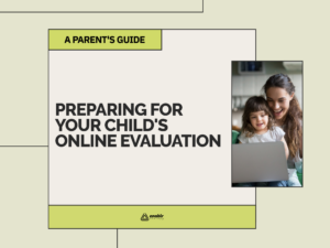 Online Evaluation